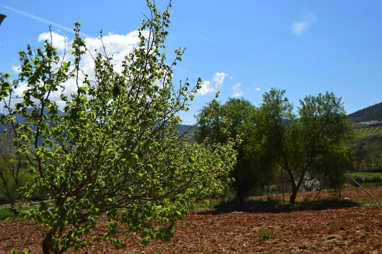 Cortijo Petra Bed & Breakfast Villanueva del Rosario