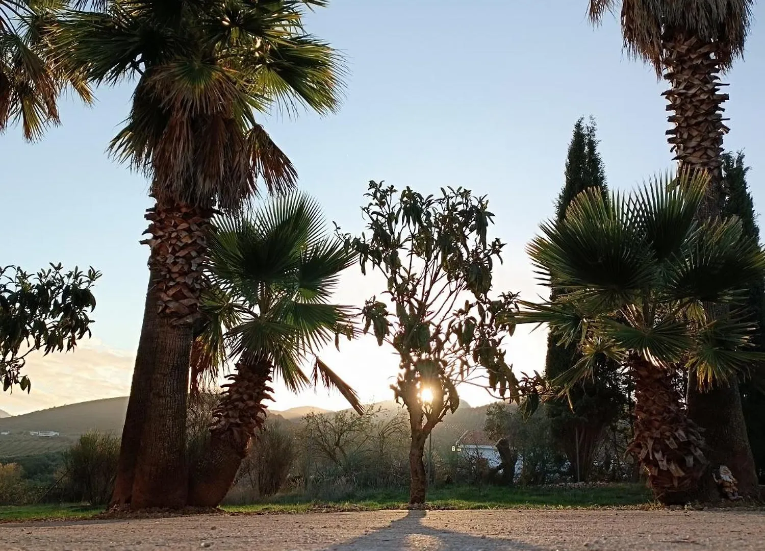Cortijo Petra Bed & Breakfast Villanueva del Rosario Spain