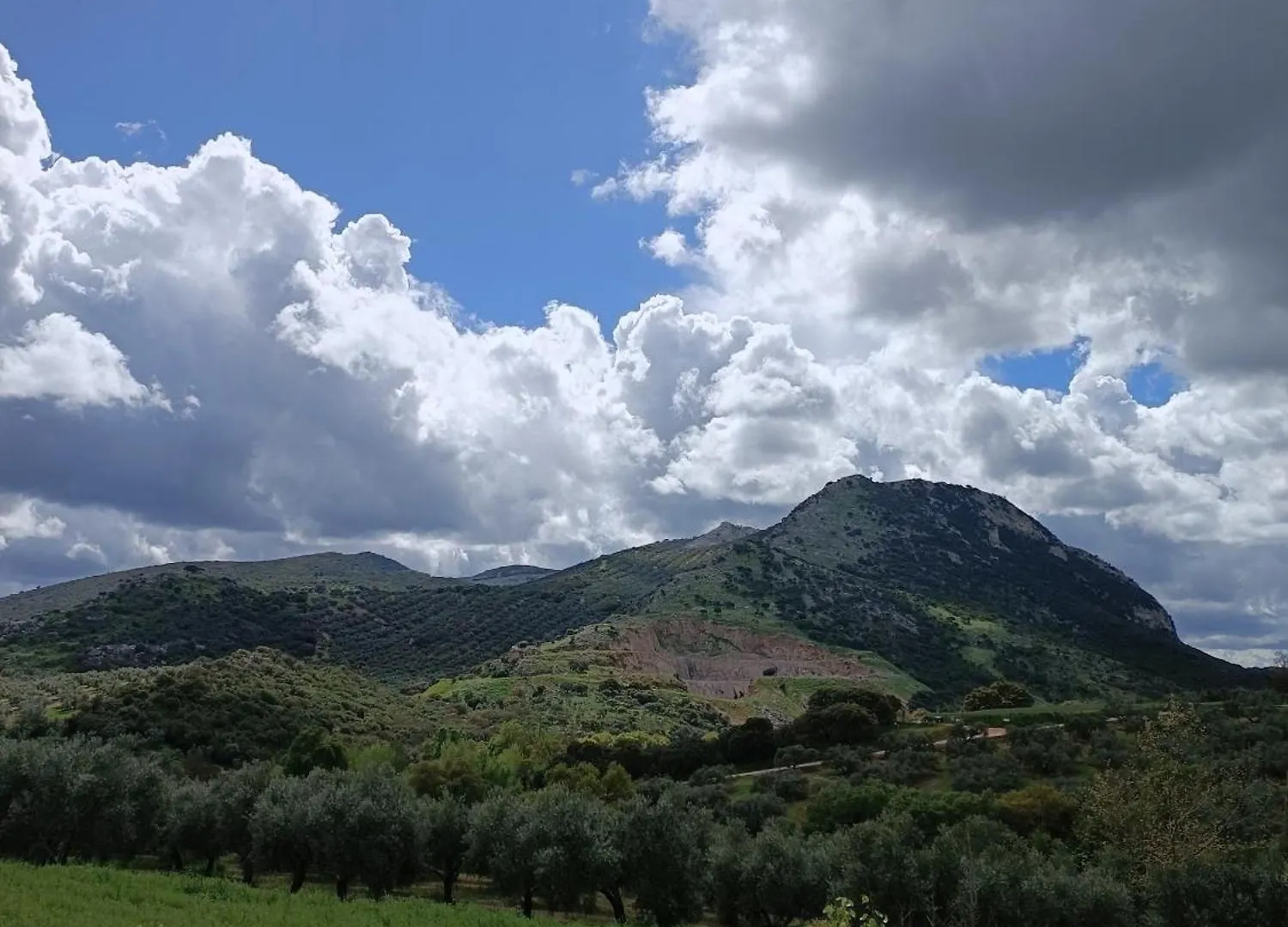 Cortijo Petra Bed & Breakfast Villanueva del Rosario Spain